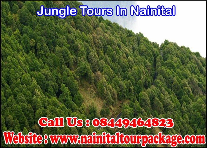 Jungle Tours In Nainital